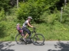 rolf_marke_1414