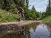 rolf_marke_1443