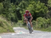 rolf_marke_6472
